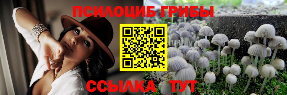Псилоцибиновые грибы Cubensis Россошь