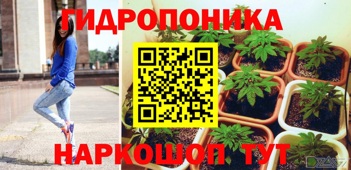 МАРИХУАНА гибрид  МАРИХУАНА LSD WEED  Вход с VPN  Россошь  Шишки марихуана тримм 